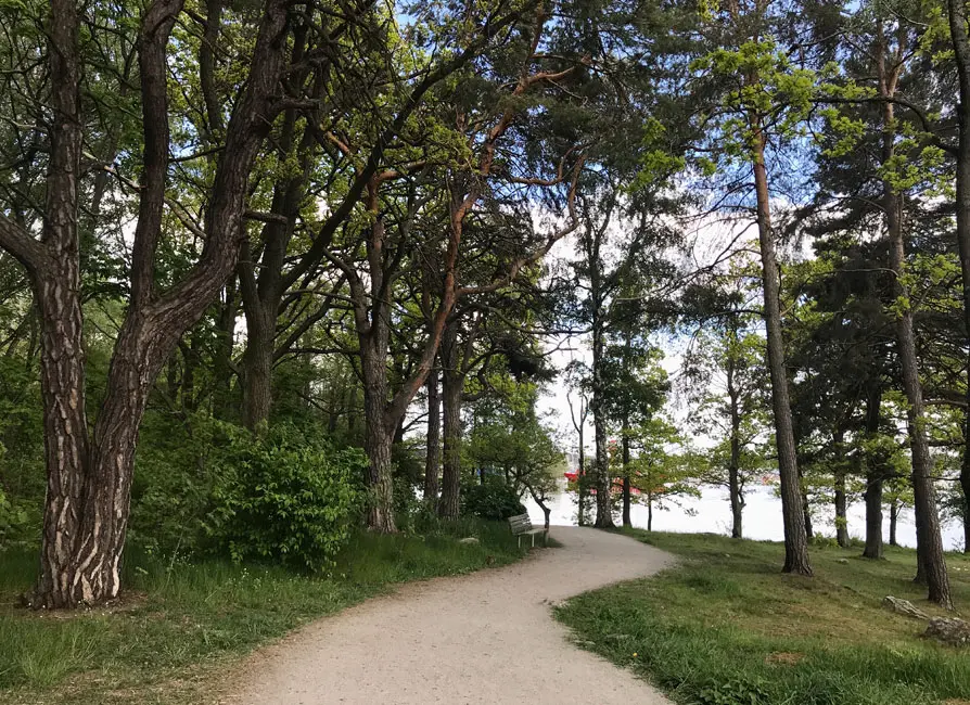 Promenadstig mellan träden i Notuddsparken. Foto: Pia Lindhe Rudolf.